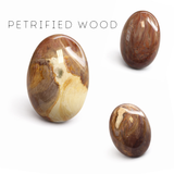 Petrified Wood Palm Stone - Natural Petrified Wood - Polished Petrified Wood Palm