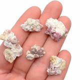 ONE Pink Garnet and Vesuvianite Specimen - Mexico - Natural PINK Garnet