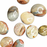 Polychrome Jasper Palm Stone - Natural Polychrome Jasper - Polished Desert Jasper Palm