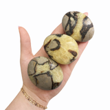 Septarian Palm Stone - Natural Septarian - Polished Septarian Palm