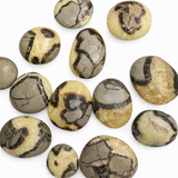 Septarian Palm Stone - Natural Septarian - Polished Septarian Palm