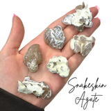 Snakeskin Agate Tumble, Tumbled Snakeskin Agate, Snakeskin Jasper, Polished Snakeskin