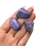 Stichtite Tumbled Stone, Quality Stichtite, Tumbled Stichtite, Purple Stichtite Pocket Stone