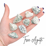 Tree Agate Stone, Tumbled Tree Agate, Tree Agate Pocket Stone
