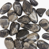 Vatican Stone Tumble, Tumbled Vatican Stone, Healing Vatican Stone