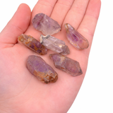 ONE Window Amethyst - Zimbabwe - Natural Amethyst Specimen