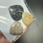 25g Fossil Coral Heart Cabochons, Bulk or Wholesale Fossil Coral Heart Cabochons, Fossil Coral Heart Cabochon