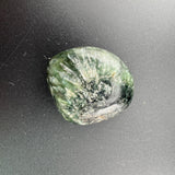 d99a8a49-92f9-46f9-ad07-4faee266a871