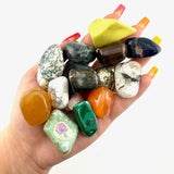 c998559d-c3ce-488f-a8e7-0b9f3292f01a