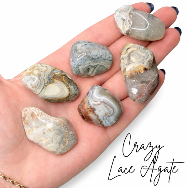 crazylaceagate_2_600x600.png?v