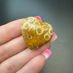 25g Fossil Coral Heart Cabochons, Bulk or Wholesale Fossil Coral Heart Cabochons, Fossil Coral Heart Cabochon