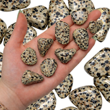 Dalmatian Stone, Tumbled Dalmatian Stone, Dalmatian Jasper, Healing Dalmatian Jasper