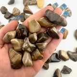 Small Peanut Wood Tumbled Stone, Tumbled Peanut Wood, Dainty Peanut Wood Tumbled Stone, P-77