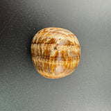 f4ccda20-c819-41b6-8ef6-55578444805c