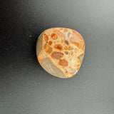 f5958300-b956-4579-ade8-793460abbb59