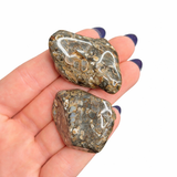 Turritella Agate Tumble, Tumbled Turritella Agate, Agate Fossil