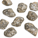 Turritella Agate Tumble, Tumbled Turritella Agate, Agate Fossil