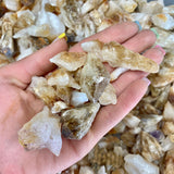 1lb Citrine Points, Rough Citrine, Bulk Citrine, Wholesale Citrine, Raw Citrine Points