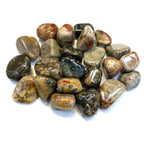 Tumbled Coprolite, Coprolite Tumble, Fossilized Poop, Fossilized Feces, Polished Coprolite, P-127