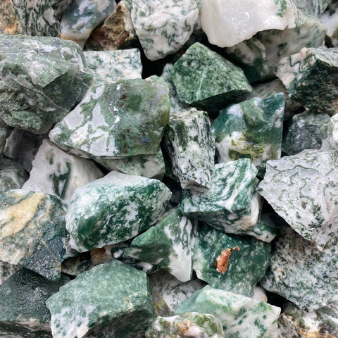 1lb Tree Agate, Rough Tree Agate, Bulk Tree Agate, Wholesale Tree Agate, Raw Tree Agate