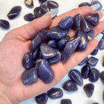 Small Lepidolite Tumble, Tumbled Small Lepidolite, Polished Lepidolite Stone, Healing Lepidolite Pocket Stone, T-68