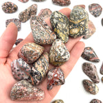 Leopardskin Jasper, Tumbled Leopard Jasper, Spotted Jasper, Healing Leopard Jasper