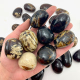 Amber Tumbled Stone, Tumbled Amber, Polished Amber, Indonesian Amber, T-7