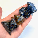 Large Pietersite Tumble, Tumbled Pietersite, QUALITY Pietersite Tumble, Healing Pietersite, A-15