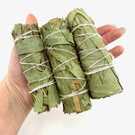 4" Eucalyptus Sage Bundle, Eucalyptus Smudge, Eucalyptus Sage Bundle