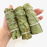 4" Eucalyptus Sage Bundle, Eucalyptus Smudge, Eucalyptus Sage Bundle