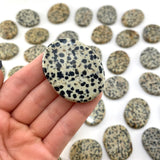 Flat Dalmatian Jasper Stone, Dalmatian Jasper Worry Stone, Flat Dalmatian Stone, P-6