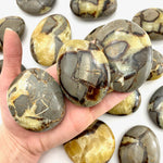 Septarian Palm Stone, Smooth Septarian Stone, Palm Septarian Stone, Healing Septarian