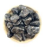 Turritella Agate Tumble, Tumbled Turritella Agate, Agate Fossil
