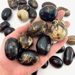 Amber Tumbled Stone, Tumbled Amber, Polished Amber, Indonesian Amber, T-7