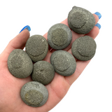 Kansas Pop Rocks, Boji Stones, Pyrite Stones, Natural "Pop Rocks" - T166