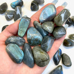 Flashy Labradorite Tumbled Stone, Medium Labradorite Tumble, Quality Labradorite Tumble, Flashy Labradorite Pocket Stone, P-51
