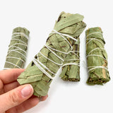 4" Eucalyptus Sage Bundle, Eucalyptus Smudge, Eucalyptus Sage Bundle