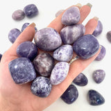 Lepidolite Tumbled Stone, Tumbled Lepidolite, Healing Lepidolite, Pocket Lepidolite Stone, T-37