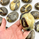 Septarian Palm Stone, Smooth Septarian Stone, Palm Septarian Stone, Healing Septarian