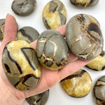 Septarian Palm Stone, Smooth Septarian Stone, Palm Septarian Stone, Healing Septarian