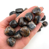 Chiastolite Stone, Tumbled Chiastolite, Chiastolite Cross Stone, T-185