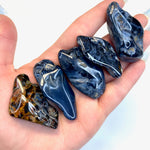 Large Pietersite Tumble, Tumbled Pietersite, QUALITY Pietersite Tumble, Healing Pietersite, A-15
