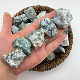 Tree Agate Rough, One stone or a Baggy, Rough Tree Agate, Raw Green Tree Agate