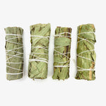 4" Eucalyptus Sage Bundle, Eucalyptus Smudge, Eucalyptus Sage Bundle