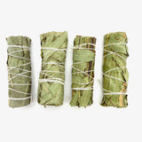 4" Eucalyptus Sage Bundle, Eucalyptus Smudge, Eucalyptus Sage Bundle