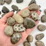 Petoskey Stone Tumble, Tumbled Petoskey Stone, Michigan Petoskey Stone, T-154