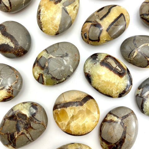 Septarian Palm Stone, Smooth Septarian Stone, Palm Septarian Stone, Healing Septarian