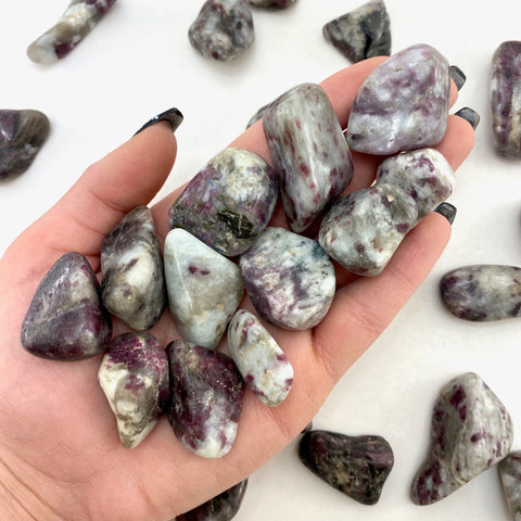 Rubellite Tumbled Stone, Tumbled Rubellite, Healing Rubellite, Pocket Rubellite, T-83