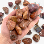 Arizona Petrified Wood, Petrified Wood Tumbled Stone, Petrified Wood Tumble, Polished Petrified Wood, T-109