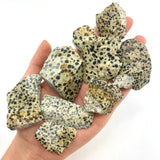 Dalmatian Jasper, One stone or a Baggy, Rough Dalmatian Stone, Raw Dalmatian Jasper